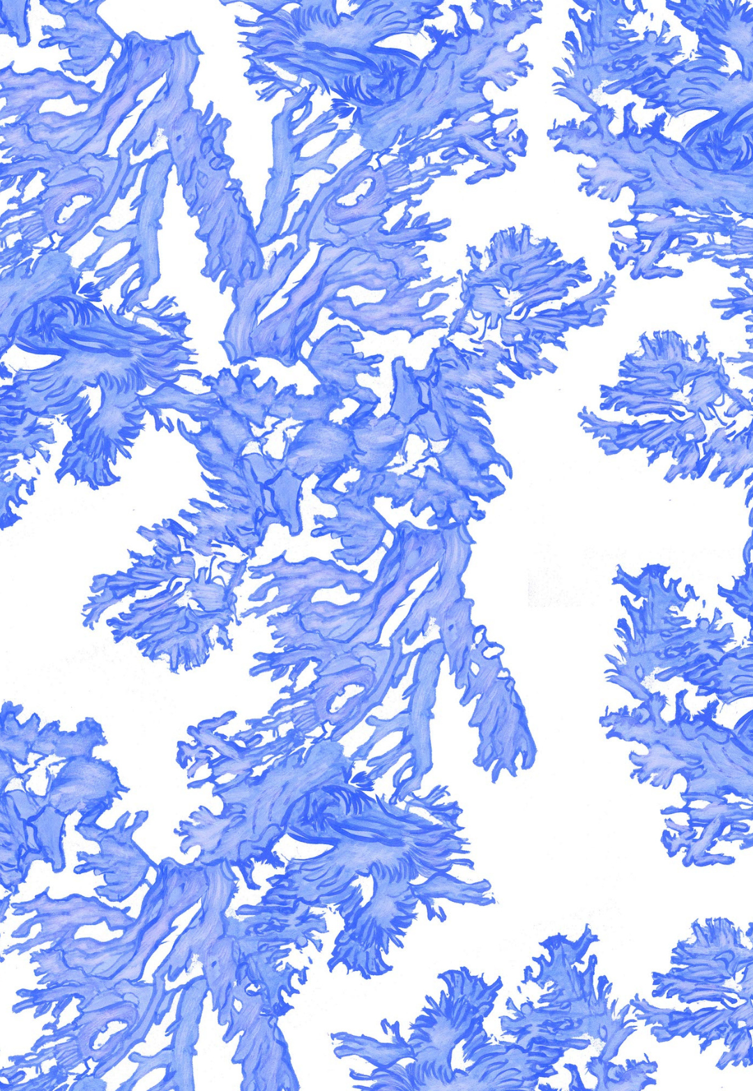 painting of a blue coral pattern by Ala von Auersperg for resort nautical women's clothing